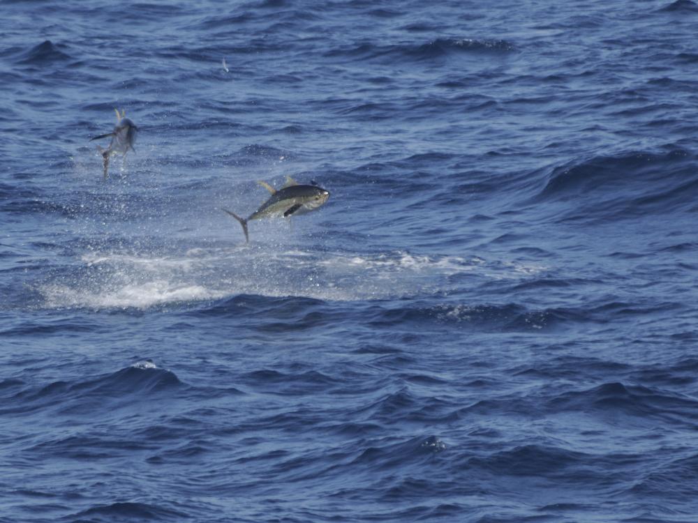 cartera arriesgada de fondos de inversión