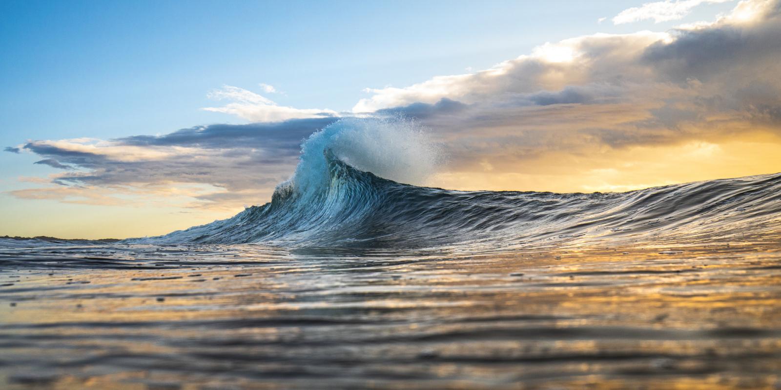 qué es cartera arriesgada de fondos
